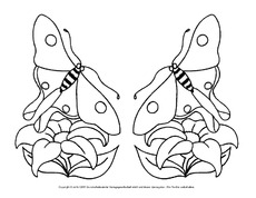 Ausmalbild-Schmetterling 15.pdf
